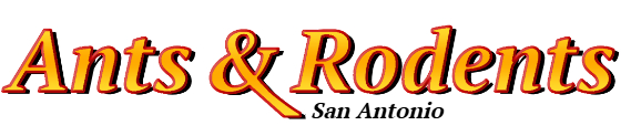 San Antonio Ant Exterminator & Rodent Control Company Logo